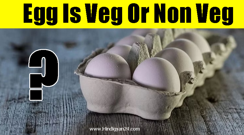 अंडा शाकाहारी है या मांसाहारी ?