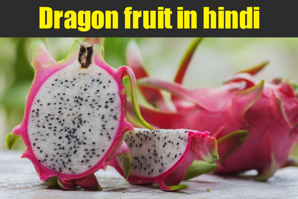 Dragon fruit in hindi