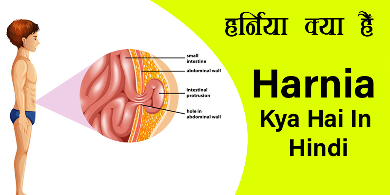 Harnia Kya Hai In Hindi